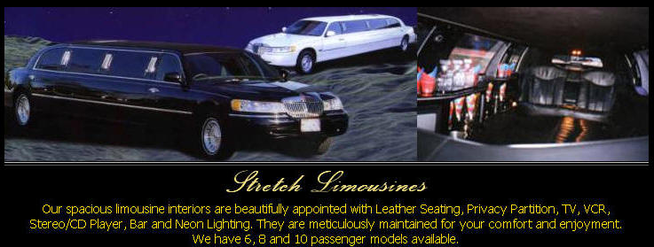 Limosine Sales and Service offers the highest level of limo care for your limousines including limo maintenance, limo repair, limo detail, limo paint, limo autobody, and limo sales.