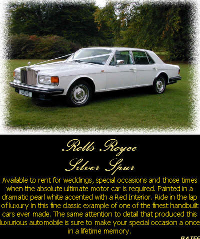 Limousine Sales and Service offers very nice limousines for sale ans offers complete limo repair and detail.